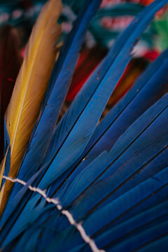 Cocar ind&iacute;gena