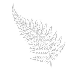 Naklejka premium Outline of a Fern Leaf