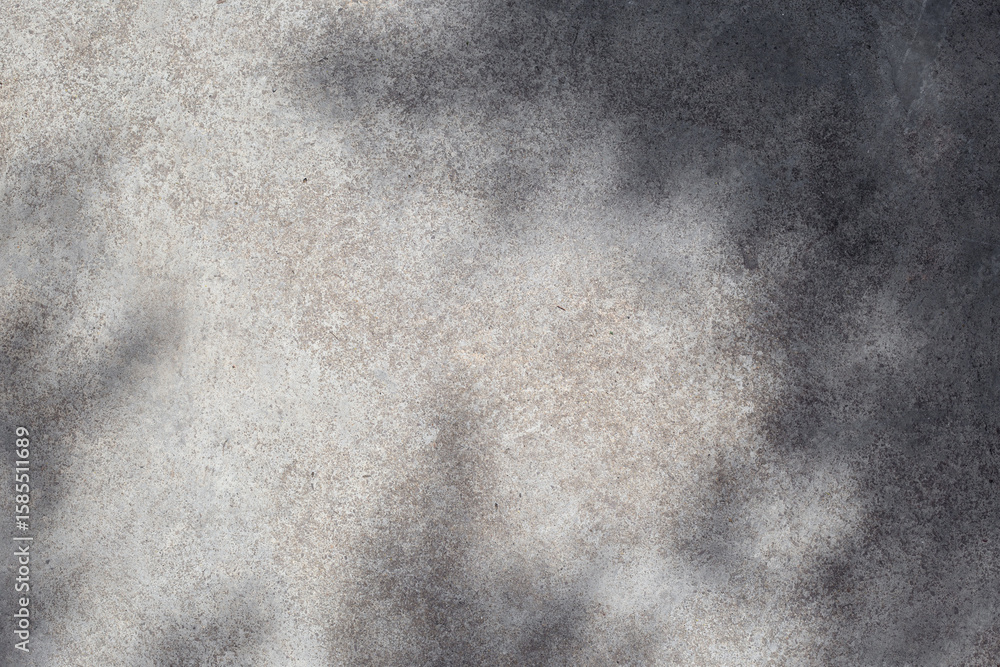Poster gray concrete wall empty copy space background with sunlight and leaves shadows. minimalistic luxury
