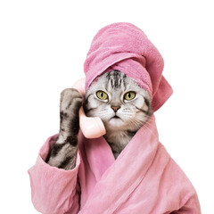 Cat in pink towel and bathrobe talking on the phone isolated on transparent or white background, png