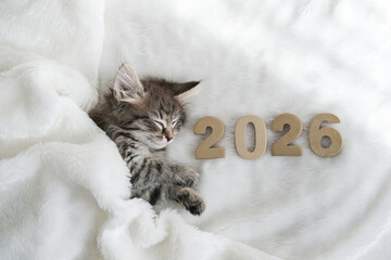 Cozy tabby kitten sleeps soundly under a white blanket with 2026 written in golden numbers next to it, symbolizing peaceful new year or beginning