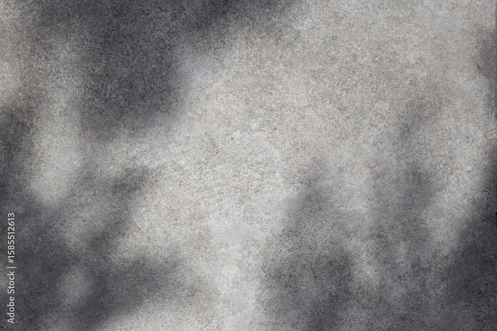 Poster gray concrete wall empty copy space background with sunlight and leaves shadows. minimalistic luxury