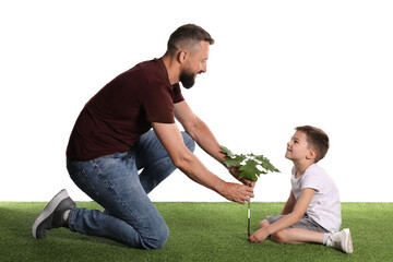 Father and his son planting tree into ground on white background