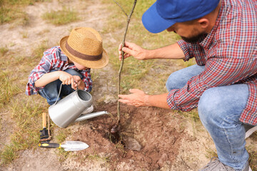 Father and his son planting tree into soil outdoors