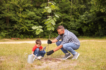 Father and his son planting tree into soil outdoors