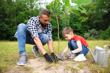 Father and his son planting tree into soil outdoors