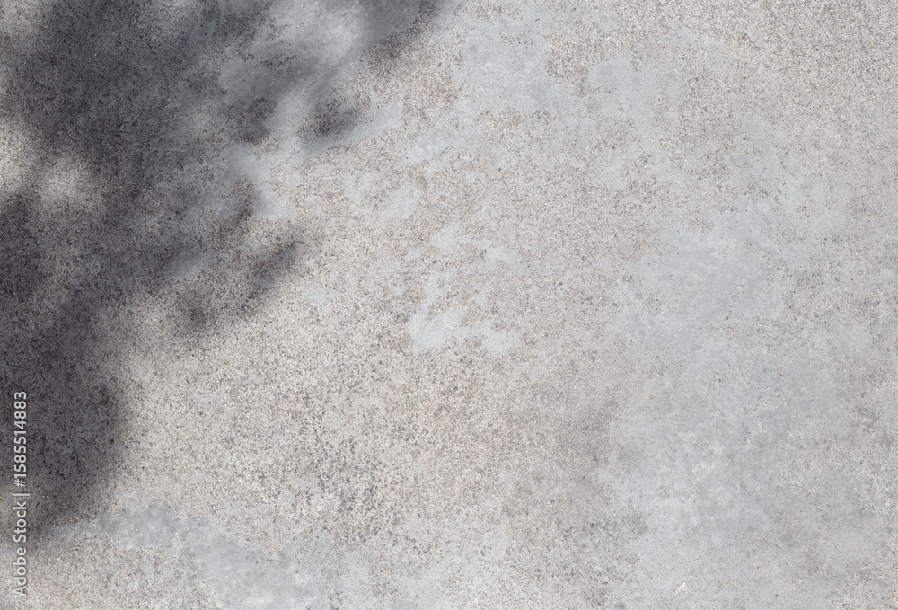 Poster gray concrete wall empty copy space background with sunlight and leaves shadows. minimalistic luxury