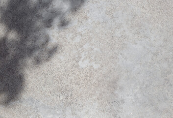 Gray concrete wall empty copy space background with sunlight and leaves shadows. Minimalistic luxury template wall surface concrete gray texture table top view copy space mock up background
