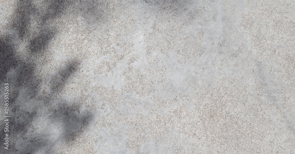 Poster gray concrete wall empty copy space background with sunlight and leaves shadows. minimalistic luxury