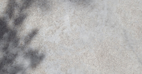 Gray concrete wall empty copy space background with sunlight and leaves shadows. Minimalistic...
