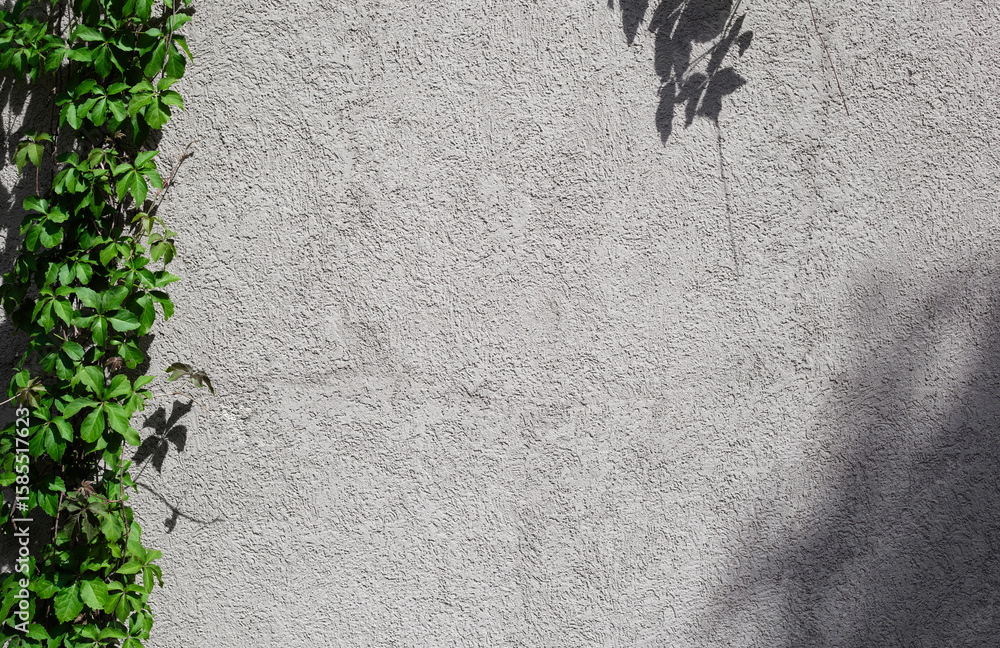 Poster gray concrete wall empty copy space background with sunlight and leaves shadows. minimalistic luxury