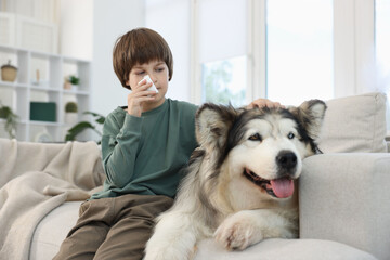 Boy suffering from allergy with her dog on sofa at home