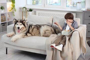 Boy suffering from allergy with her dog on sofa at home