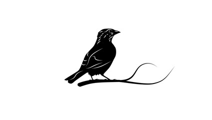 House Bunting bird, black isolated silhouette