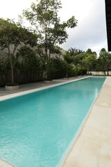 Outdoor swimming pool and green plants at luxury resort