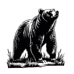 Brown bear silhouette vector illustration in hand-drawn sketch style isolated on white background