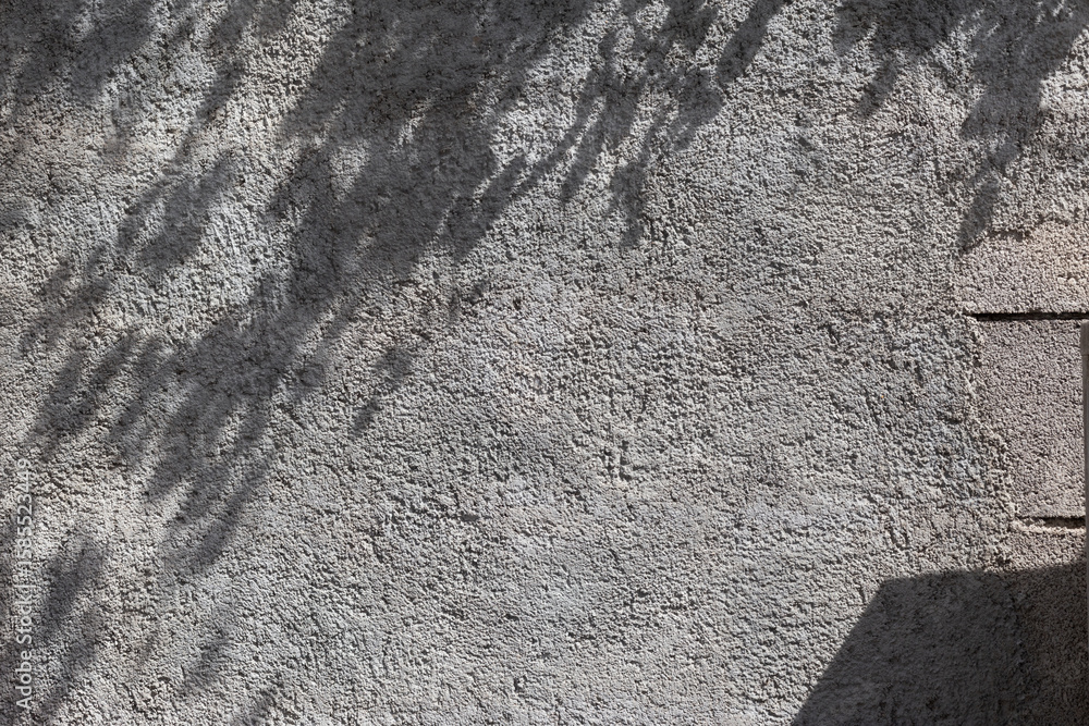 Poster gray concrete wall empty copy space background with sunlight and leaves shadows. minimalistic luxury