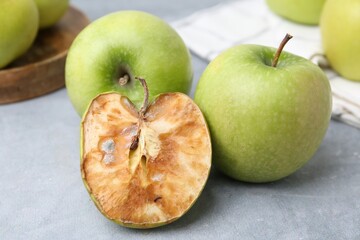 Spoiled apple and good ones on grey table, closeup
