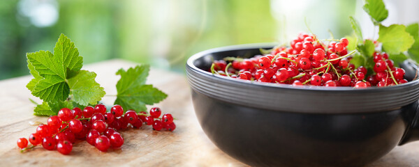 Fresh homemade red currant jam in jar with fresh picked currants in a bowl on wooden table against light background. Horizontal close-up. 