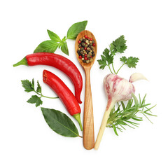 Different aromatic herbs, products and spoon with peppercorns isolated on white, top view
