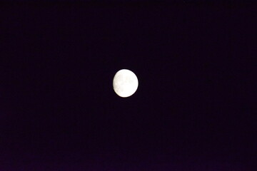 full moon in the night