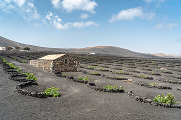 La Geria, Lanzarote