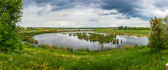 Landscape view in the countryside. Scenic panorama of a marshy lake with reeds. Non-urban nature on...