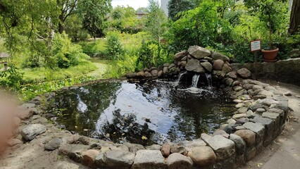 waterfall in the forest