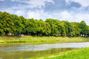 embankment of a river uzh in summer. longest linden alley in europe on a sunny day. view of lush trees near water under blue sky with clouds. beautiful urban landscape of ukraine for travel