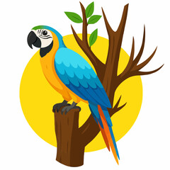 parrot on branch