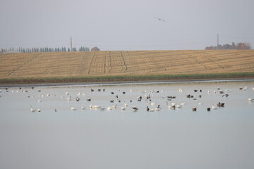Abandoned Places and Prairie Saskatchewan Scenery.