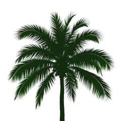 Obraz premium Lush Palm Tree Silhouette Against Clear Sky for Summer Relaxation
