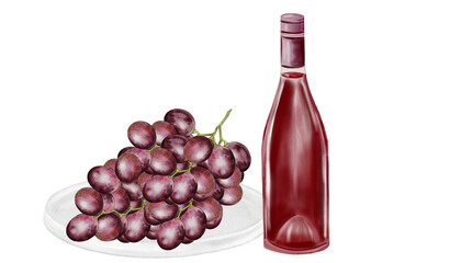 Wine bottle and grapes watercolor painting. Drink glass alcoholic red sparkling. Clip art drinks. Wine shop booklets. Ideal for restaurant menus, posters and wine list.