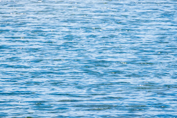 夏の川　風で水面に波が立つ06