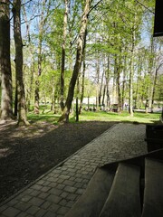 path in the park