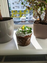 chocolate cake on a table, Easter cake