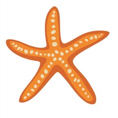 Starfish illustration animal invertebrate.