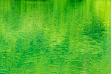 夏の湖　湖水に緑が映える04