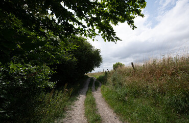 Obraz premium A peaceful rural scene showing a hillside path under a cloudy sky, with open views across the countryside.