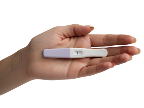 Fair Skinned Hand Holding Pregnancy Test isolated on a transparent background