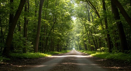 Fototapeta premium Serene Pathway Between Trees in a Lush Forest