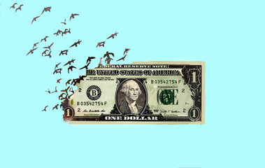 One dollar bill with birds flying on a blue background symbolizing financial freedom
