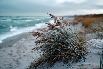A close-up of a Nordic beach, with soft sand, grass gently swaying in the breeze, and the tranquil sea in the background.