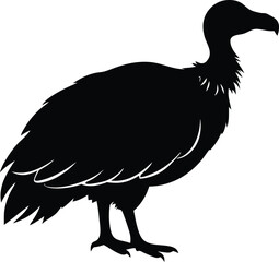 vulture bird silhouette vector