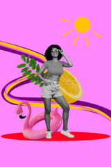 Zine image 3d poster collage of happy girl stand flamingo lifebuoy orange slice lemon fruit sunny...