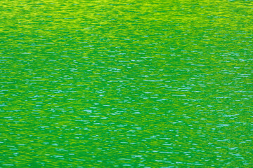 夏の湖　湖水に緑が映える17