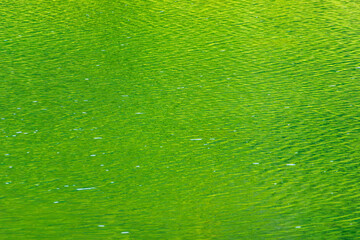 夏の湖　湖水に緑が映える19