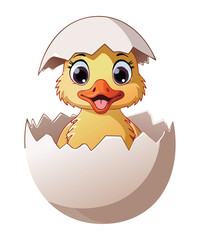 Newborn Duckling Hatching from Eggshell