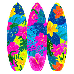 colorful surfing board on transparent background PNG