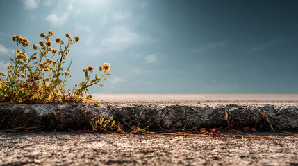Wildflowers grow through cracks in an urban pavement under a bright sky, symbolizing resilience and nature's persistence in unexpected places